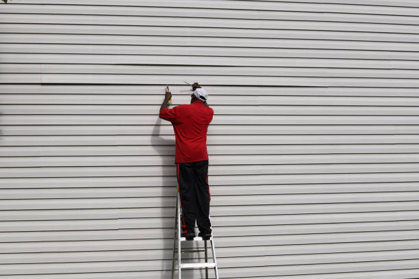 Professional Siding Installation & Repair in Trevorton, PA